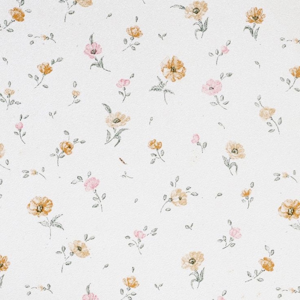 Meet your Posher, Jesse